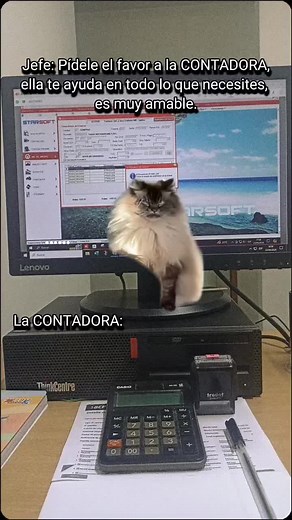 😂😂👩🏻‍💻 #CapCut #Humor #Tiktok #Contadora #😎 #work