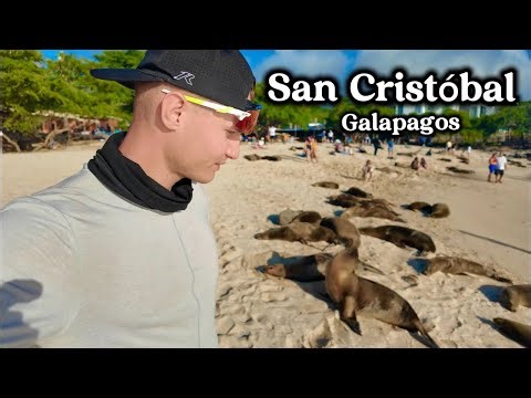 Galapagos 🇪🇨 This remote island has more SEA LIONS than people