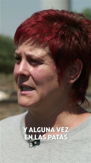 Lo que escuece cura...¡GRANJAS EN ACCIÓN! LOS DOMINGO A LAS 21.30 EN DMAX