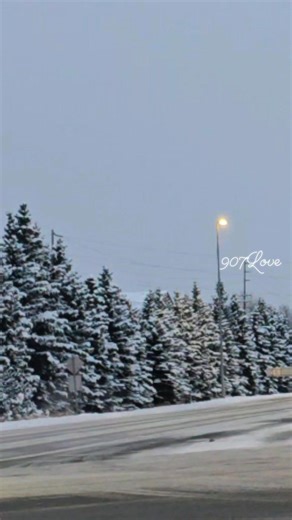 the trees are pretty after the snow 🧡 #Alaska #907LOVE | 907love
