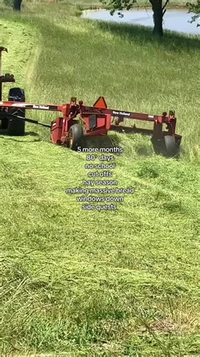 Cattle Farming Tips for Getting the Most Bread