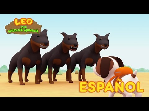 El Koala (Español) - Leo, El Explorador Episodio | Animación - Familia - Niños