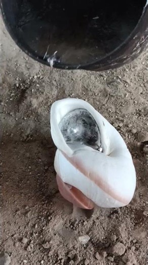 Recycled aluminum transformed into sculpture #diy #casting #satisfying