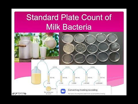 Standard Plate Count of Milk Bacteria Lab