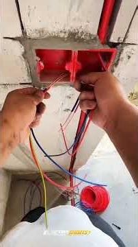 Expert cable stripping and terminal prep.🛠️💡#diy #electroshorts #electronics