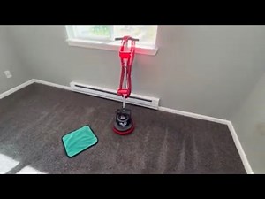 Start A Basic Carpet Cleaning Business EASY Young & Old