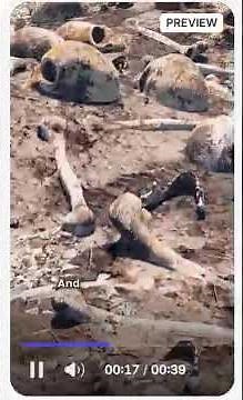 Why Nuclear Bombs Are So Dangerous Blast, Radiation, Fallout & Global Risk Explained