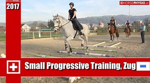 50K views · 1.3K reactions | Kleines Progressives Training Small Progressive Training Every week new training on www.horsephysio.ch log in | Horsephysio | Facebook