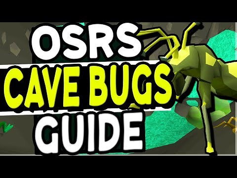 The Ultimate Cave Bugs Slayer Guide Old School Runescape