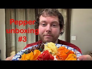 Pepper unboxing #3 and taste test from a unique pepper grown by Sam and Dustin from Stinger PepperCo