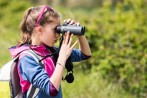 5 Wonderful Birdwatching Hikes in Florida