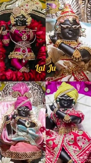 Every Problem has only one solution "Radharaman ju"❤️😍🧿🪷#radharaman #youtube #krishna