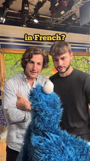 AT Frenchies on Instagram: "Sesame Street x AT Frenchies 🤩 #French #SesameStreet #CookieMonster #Humor"
