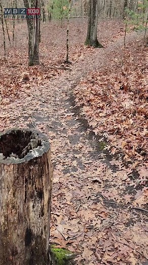 A secret town within a town. #Needham #Massachusetts #NeedhamMA #NewEngland #WellesleyMA #NatickMA #DoverMA #DedhamMA #Boston #NewtonMA #ModelTrain #MartiniJunction #MassachusettsCheck #MassachusettsTikTok