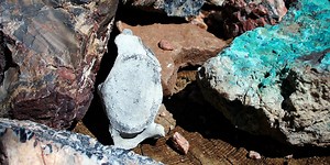 Earth and Planetary Sciences