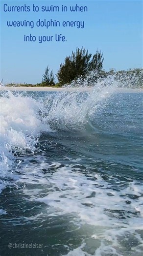 1. Make Play Sacred Dolphins aren’t playing because they’re bored....