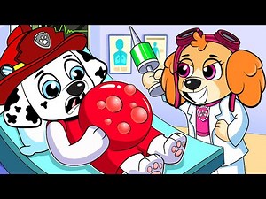 Dr. Skye Examines Marshall! Is Marshall Really Pregnant | Paw Patrol Funny Animation