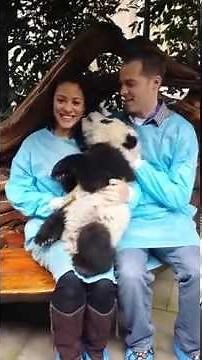 Holding Baby Twin Pandas - Chengdu, China