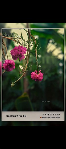 #mobilephotography #photoshoplightroom #lightroomediting #photoediting #photography #lightroom