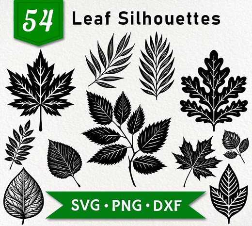 Leaf Vector Silhouette Bundle: 54 Botanical Designs, SVG PNG DXF Files - Etsy UK