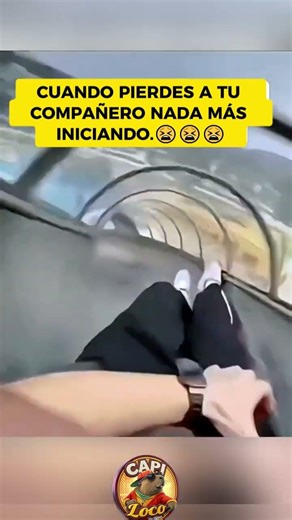 Pierde a tu compañero nada mas iniciando😅 #gatos #humor