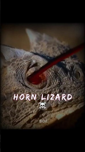 Humans vs Scariest Animals 💀🗿 #Shorts #Science #Biology #Space #Earth