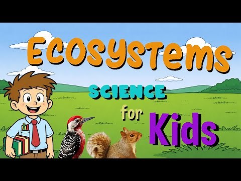 Ecosystems | Science for Kids