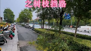 随手一拍，危险清空！12345这波操作太给力了🔥