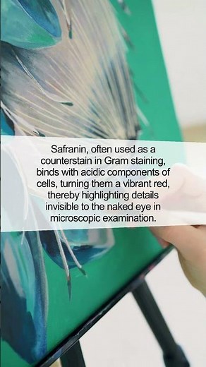 Unveiling the Magic of Safranin: The Secret Behind Stained Microscopy Slides