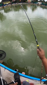 6.8M views · 49K reactions | แข่งตกปลาที่บ่อตกปลาน้าแอ็ดชิงหลิว ฟิชชิ่งช็อป 2022/02/06 #oldghost #barfilon #kgwd | Centaur（ชิงหลิว ）Fishing Shop | Facebook