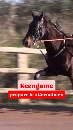 4.5K views · 562 reactions |  Vainqueure du Prix Bilibili - Cornulier Races Q2 (Gr. 1) mi-décembre, Keengame peaufine sa préparation en vue du Prix de Cornulier, ce dimanche sur la cendrée parisienne ▶️ Déjà titulaire de 3 succès cet hiver, elle va tenter de tirer son épingle du jeu sur le plateau de Gravelle  Le reportage est à retrouver en intégralité sur notre chaîne YouTube | Equidia | Facebook