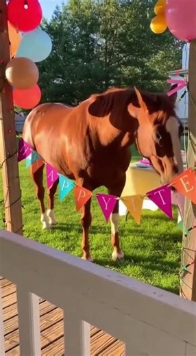 Horse's Unexpected Party Trick 🎉🐴