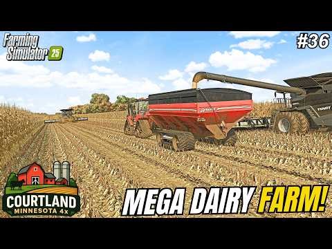 HARVESTING A 200 ACRE MEGA CORN FIELD ON THE $15,000,000 DAIRY FARM! | Courtland, MN | FS25 #36