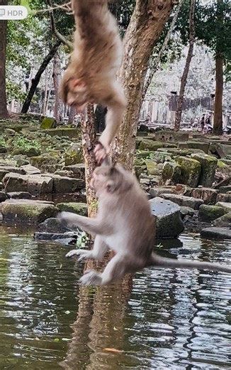 4.2K views · 81 reactions | Omg break heart one female fail from water so high 沈沈 | Kosol Page | Facebook