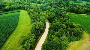 4k video ultra HD wildlife and animals in 4k (2)