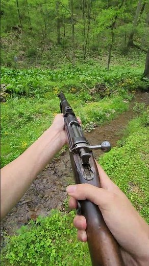 Mannlicher M95 Stutzen 8x50r POV Shooting #history #ww1