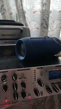 focusrite voicemaster pro demo spb 2023 test