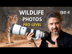 Take Pro-Level Wildlife Shots | Wildlife Photography for Beginners
