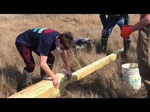 Barn owl nest installation