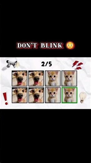 ON BEAT CHALLENGE 🔊 | Can You Keep Up 😁