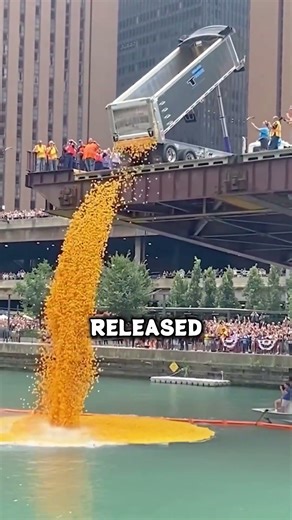 The Weird Rubber Duck Race in America