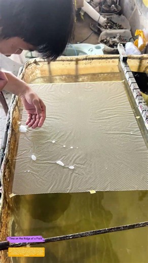 Dipping Designs: How Pattern Paper Transforms Plastic Shells into Art