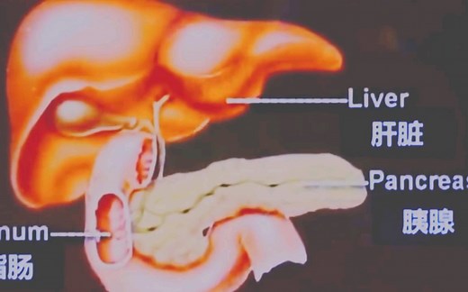 YouTube搬运/moza morph作品集/health健康