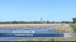 Local crawfish farmer explains how inflation is hurting the business