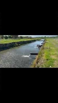 Raceway Aquaculture System 🐟 | Modern Fish Farming & High-Density Production Technology