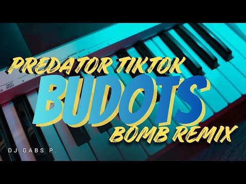 PREDATOR TIKTOK BOMB BUDOTS REMIX (DJ GABS P.)