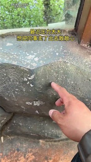 Title: De-stress with a Unique Co-worker Sale: Watch Now