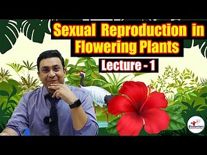 Sexual Reproduction in Flowering Plants l Lecture 1 l Biology l NEET