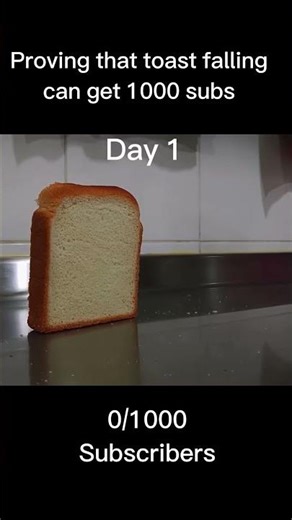 Day 1 of toast Falling over