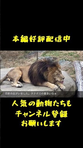 [#KantoDayTrip #Zoo] Kamine Zoo in Hitachi City, Ibaraki Prefecture, is the best value for money ...